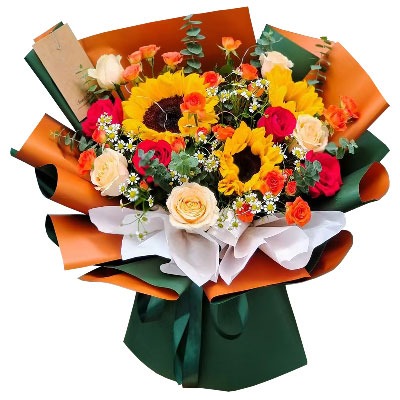 ���ݺ���л���
